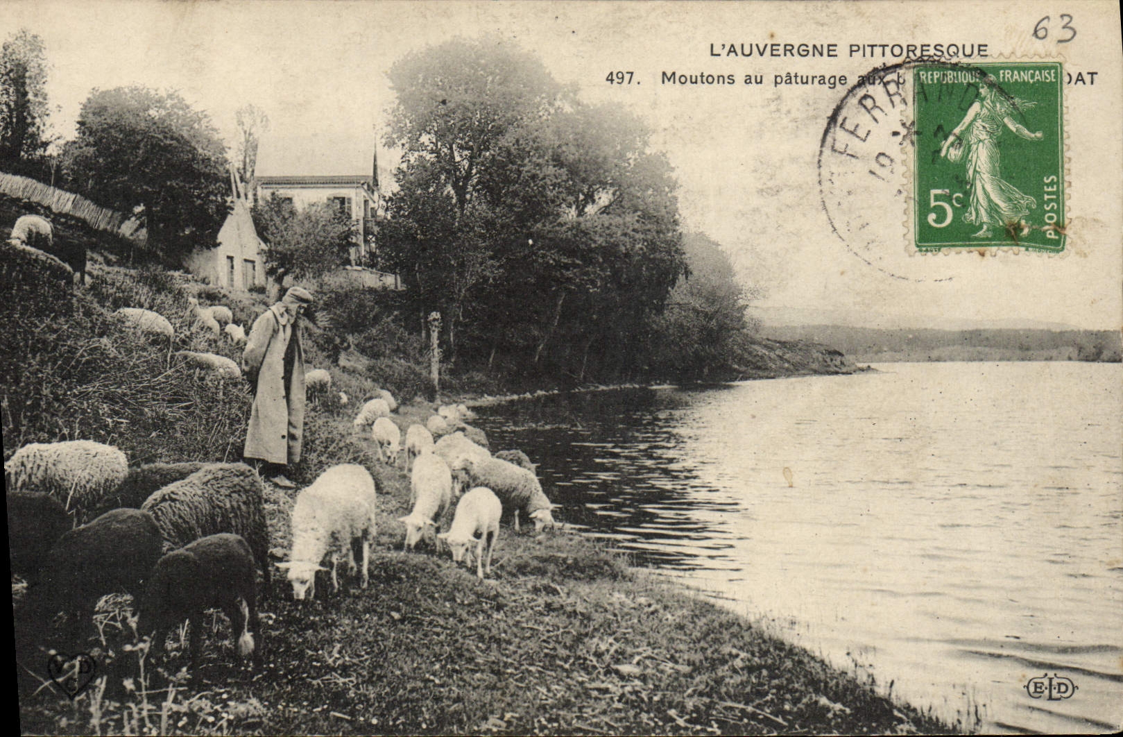 CPA L'Auvergne Pittoresque Moutons au Paturage