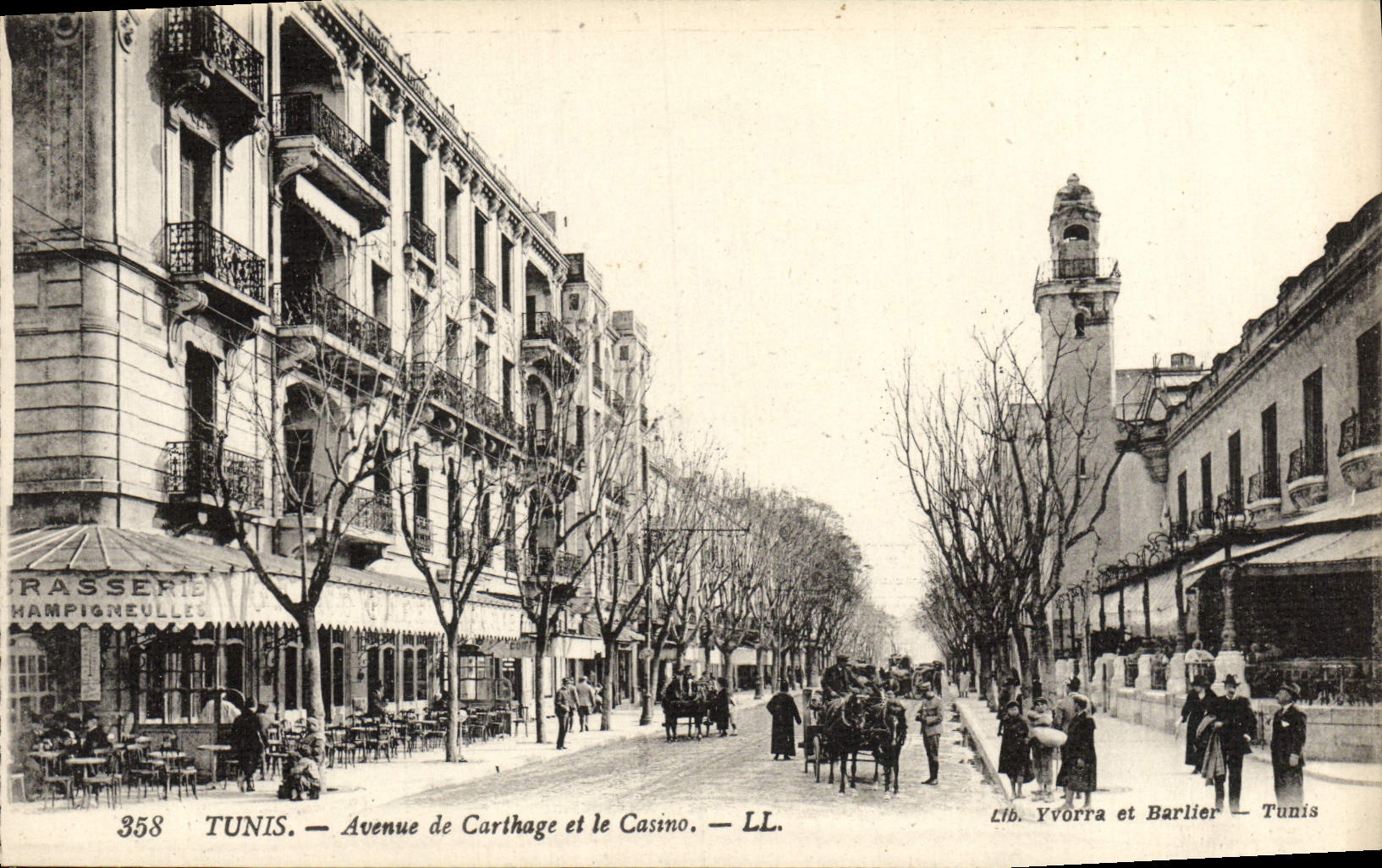 CPA Tunis Avenue De Carthage Et Le Casino