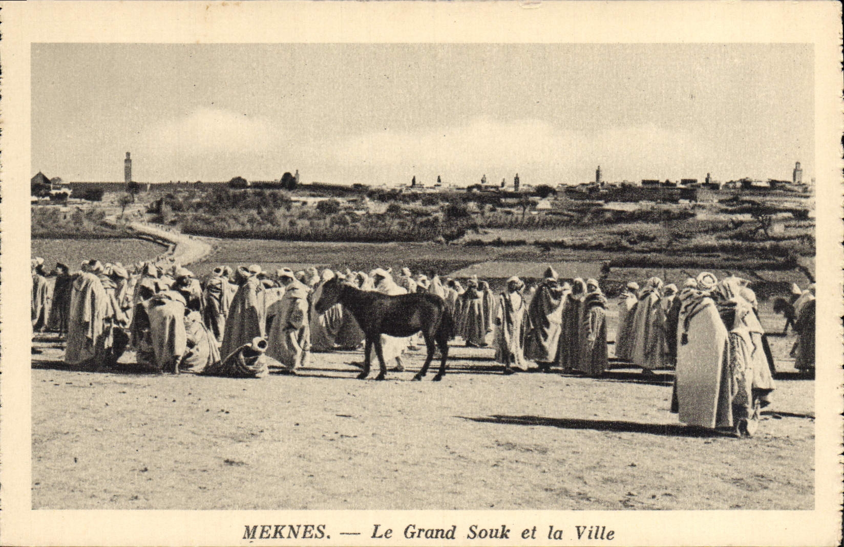 VINTAGE POSTCARD Meknes the Large Souk And the Horses City