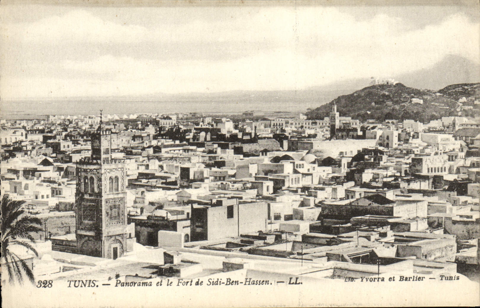 Panorama y Fort el De Sidi Ben Hassen de Túnez de la POSTAL de la VENDIMIA