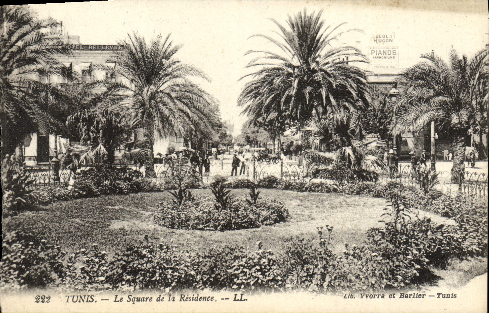 VINTAGE POSTCARD Tunis the Public garden Of the Residence