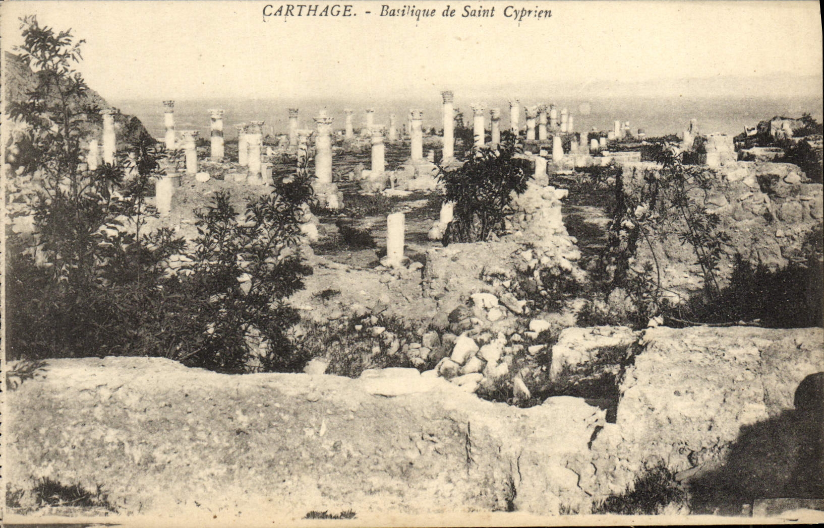 VINTAGE POSTCARD Carthage Basilica Of Cyprien Saint
