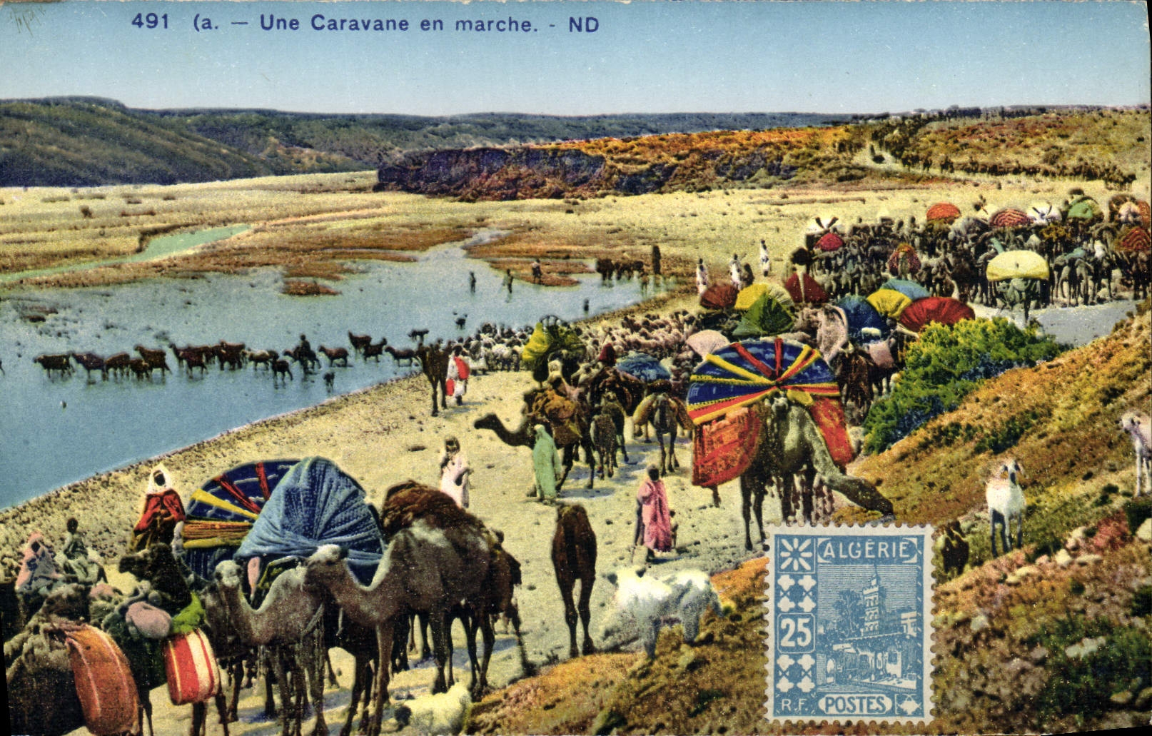 CPA Une Caravane En Marche Chameaux 