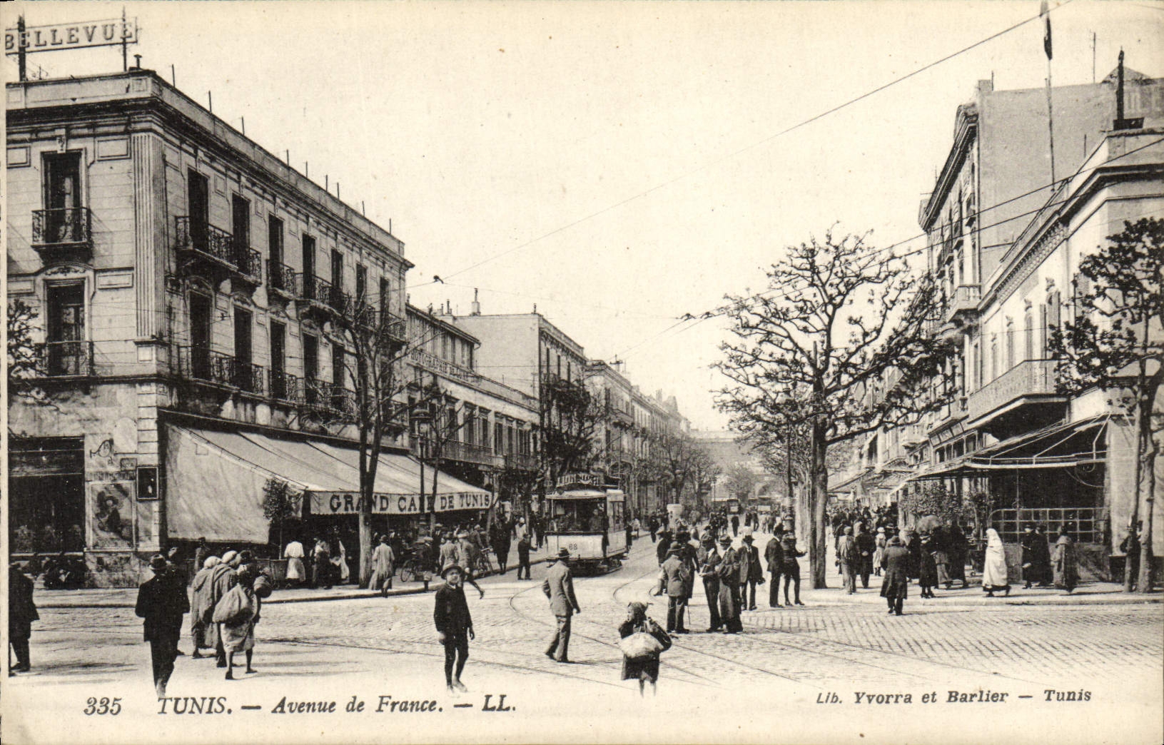 VINTAGE POSTCARD Tunis Which occurred Of France Tram