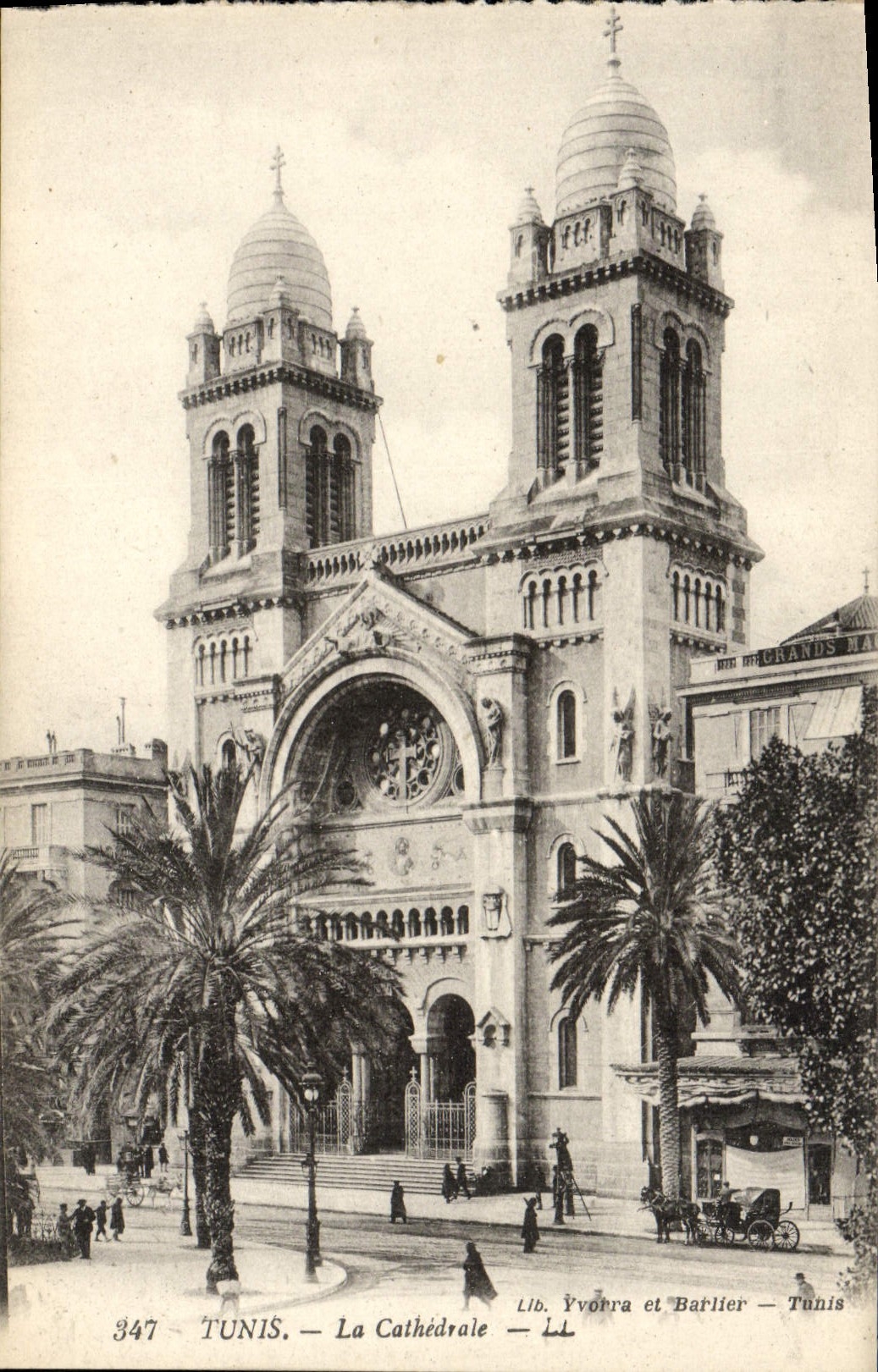 CPA Tunis La Cathedrale