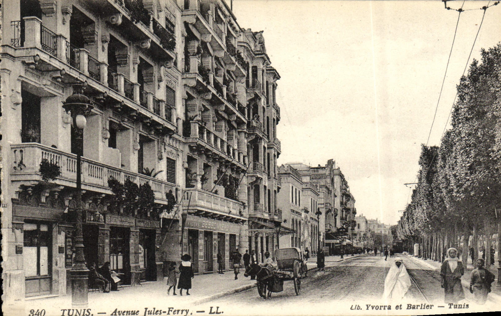 VINTAGE POSTCARD Tunis Which occurred Jules Ferry