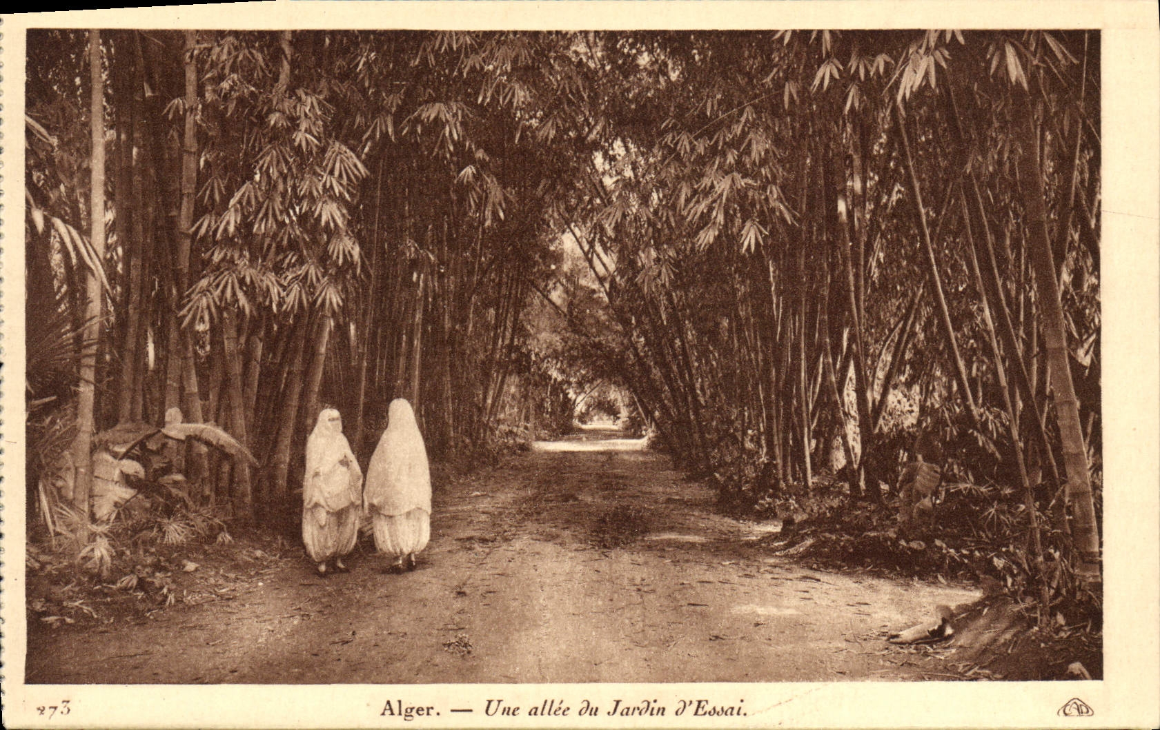 POSTAL Argel de la VENDIMIA un callejón del jardín de la prueba