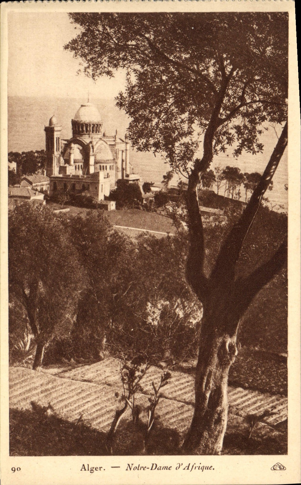 CPA Alger Notre Dame d'Afrique