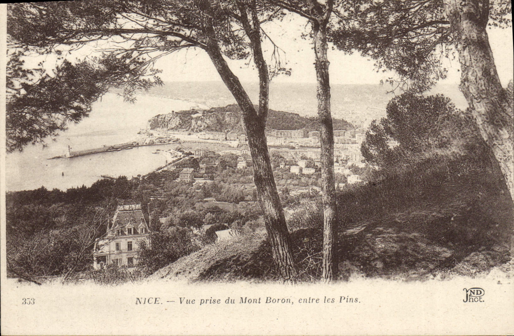 CPA Nice Vue Prise Du Mont Boron Entre Les Pins