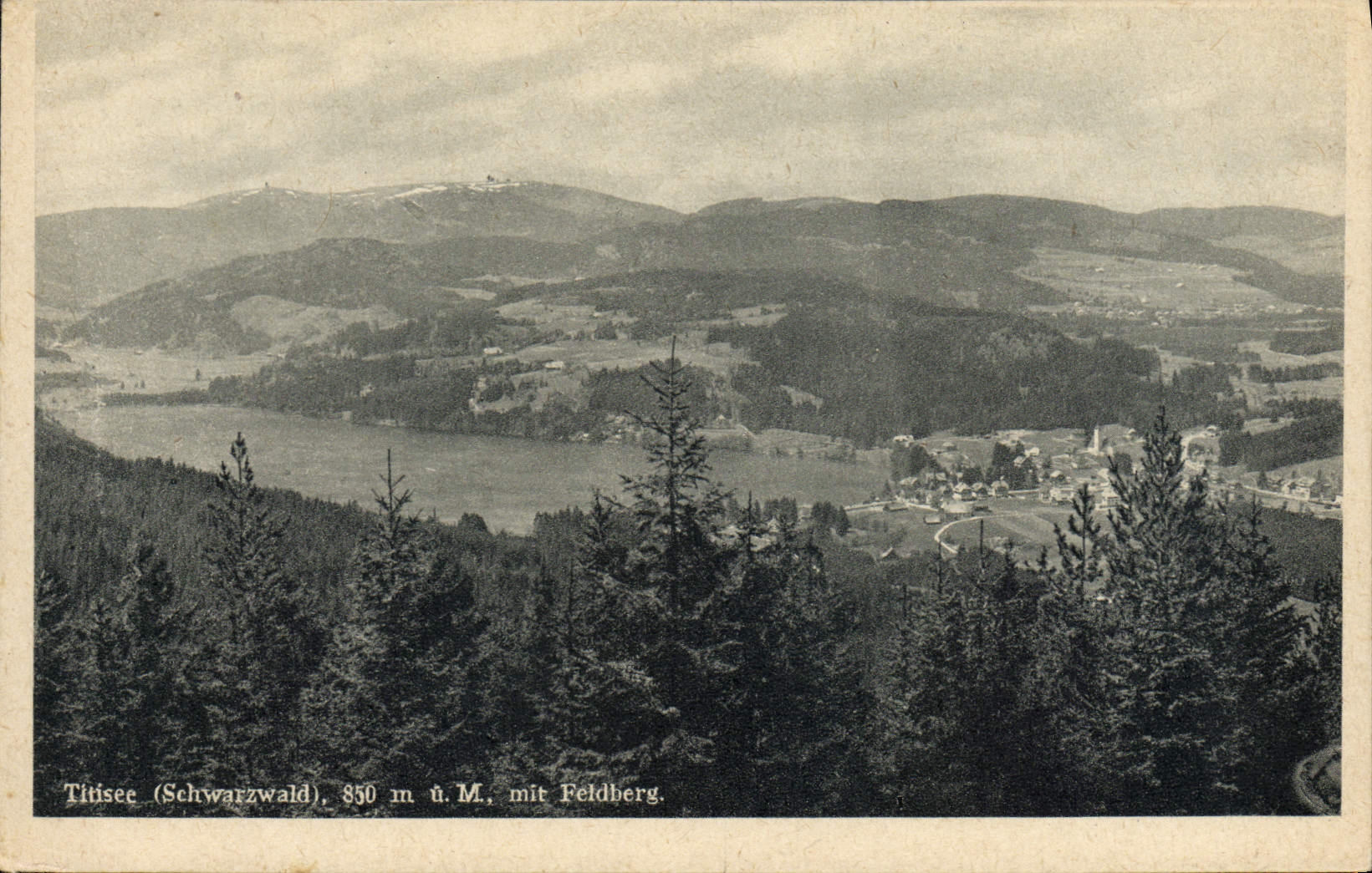VINTAGE POSTCARD Titisee MR. U Mr. MIT Feldberg
