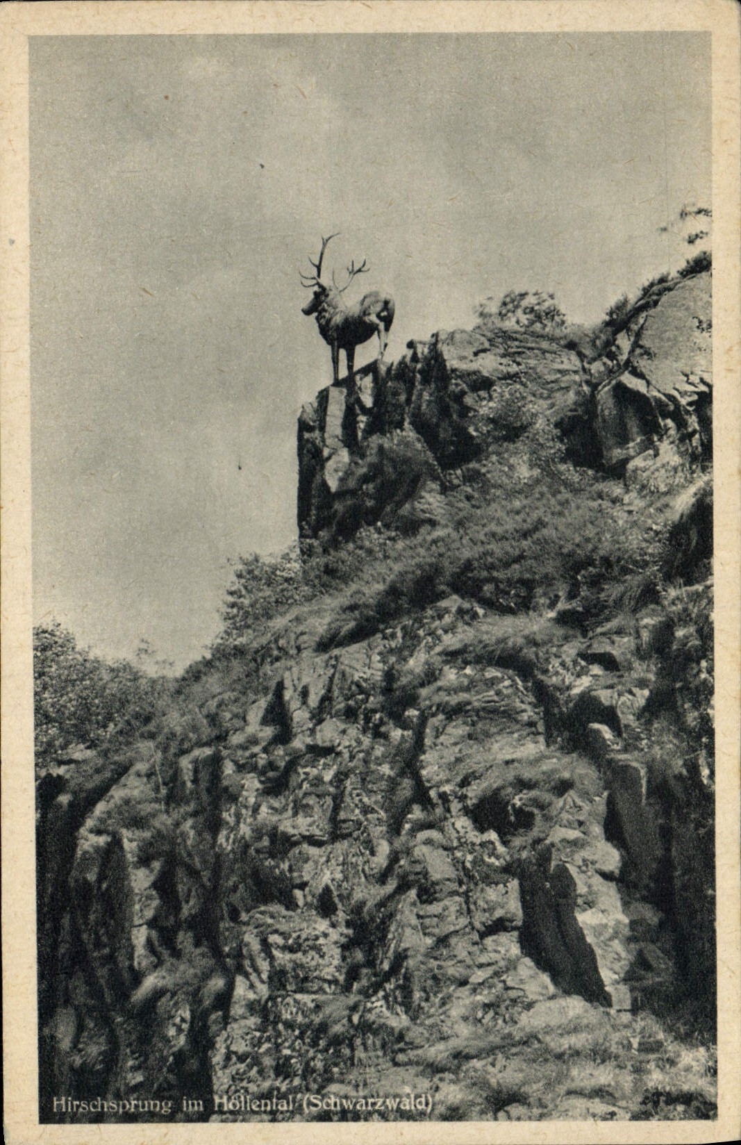 VINTAGE POSTCARD Hirschsprung Hollental