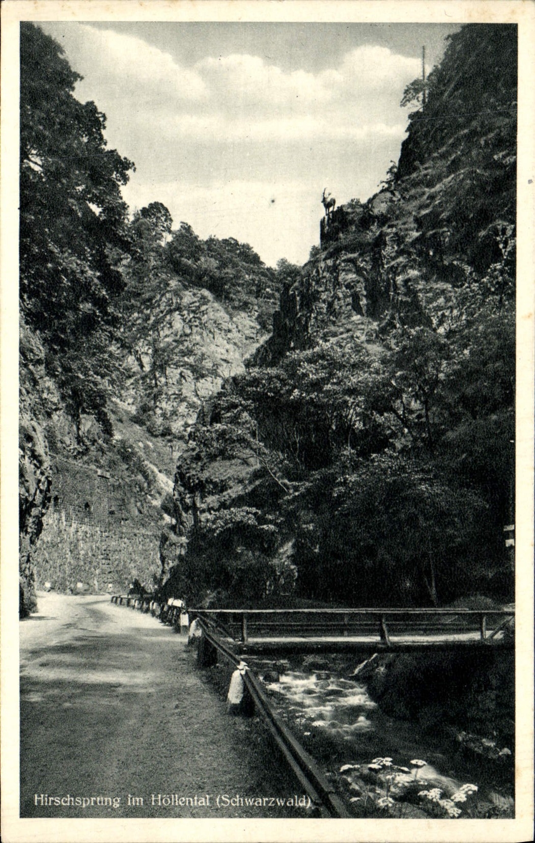 VINTAGE POSTCARD Hirschsprung Im Hollental