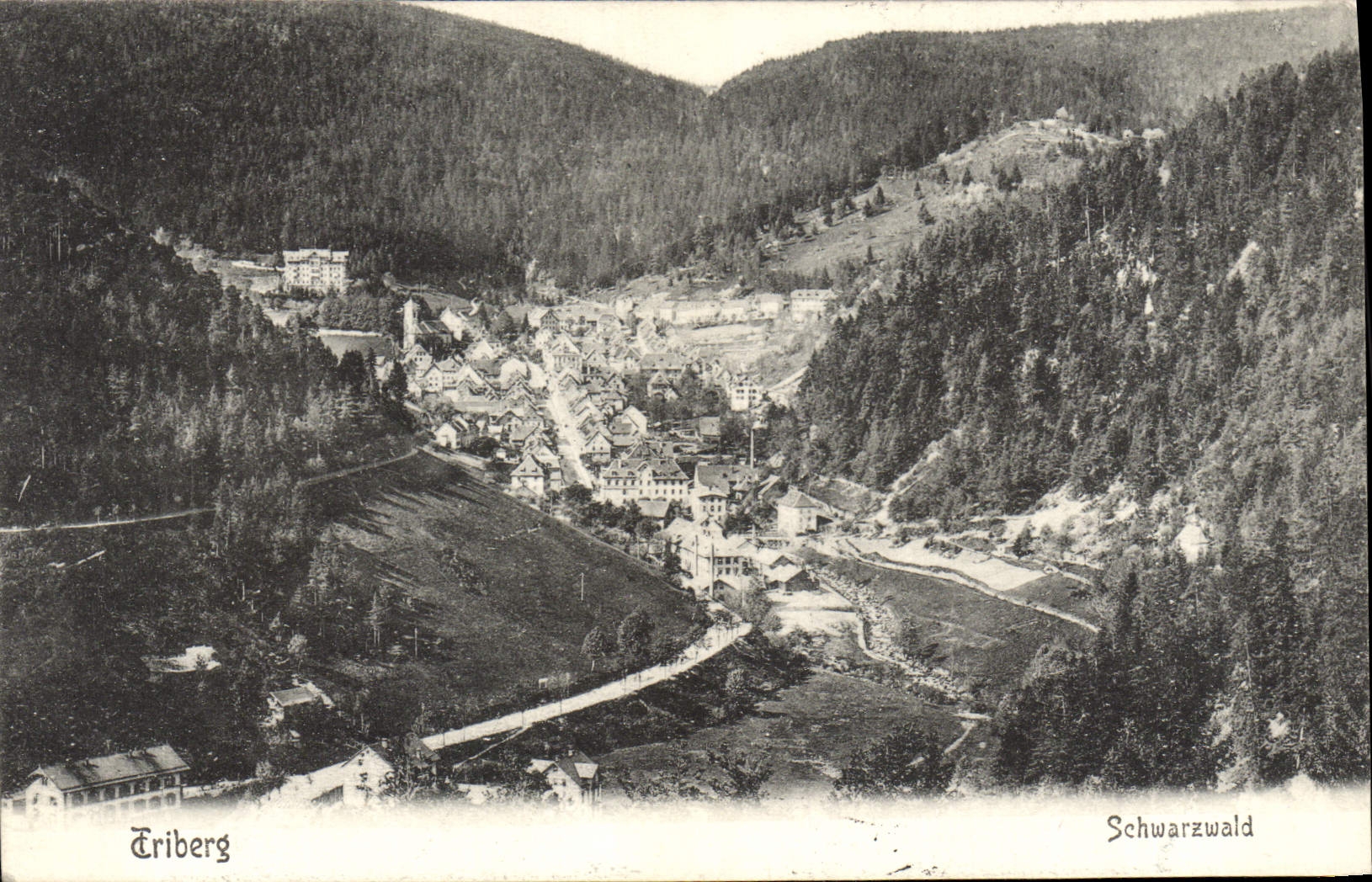 CPA Triberg Schwarzwald
