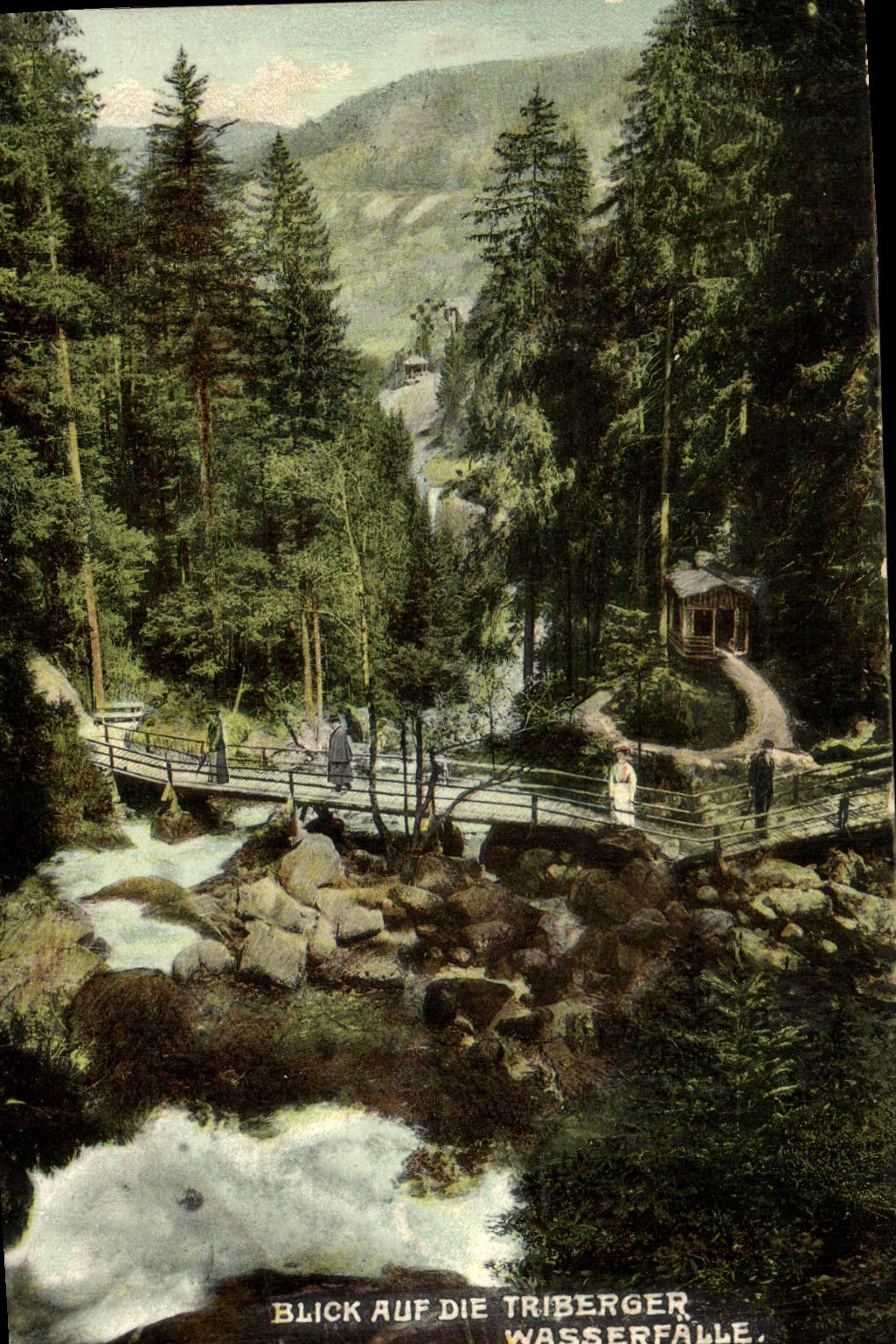 CPA Blick Auf Die Triberger Wasserfalle