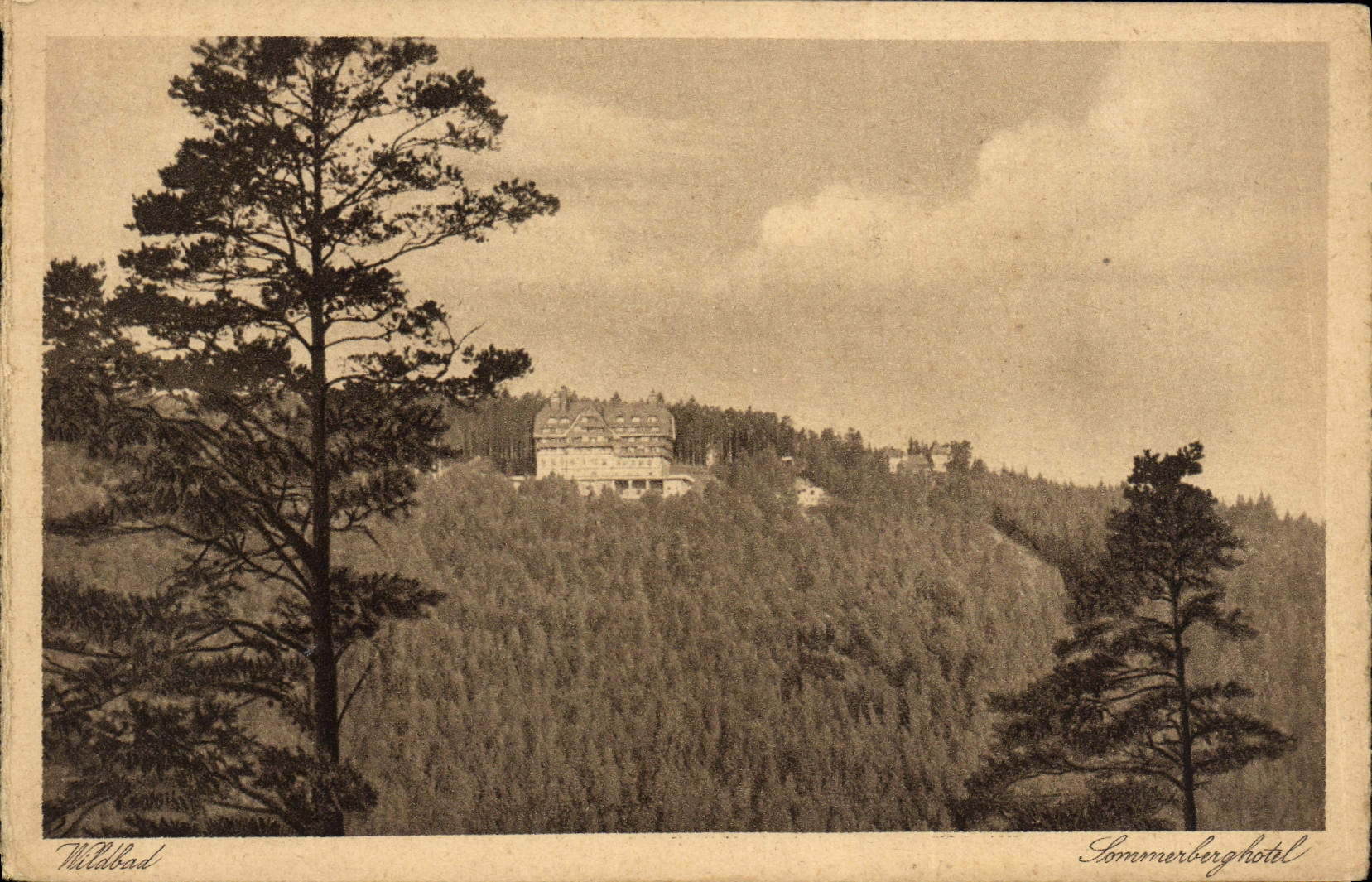 VINTAGE POSTCARD Wildbad Sommerberghotel