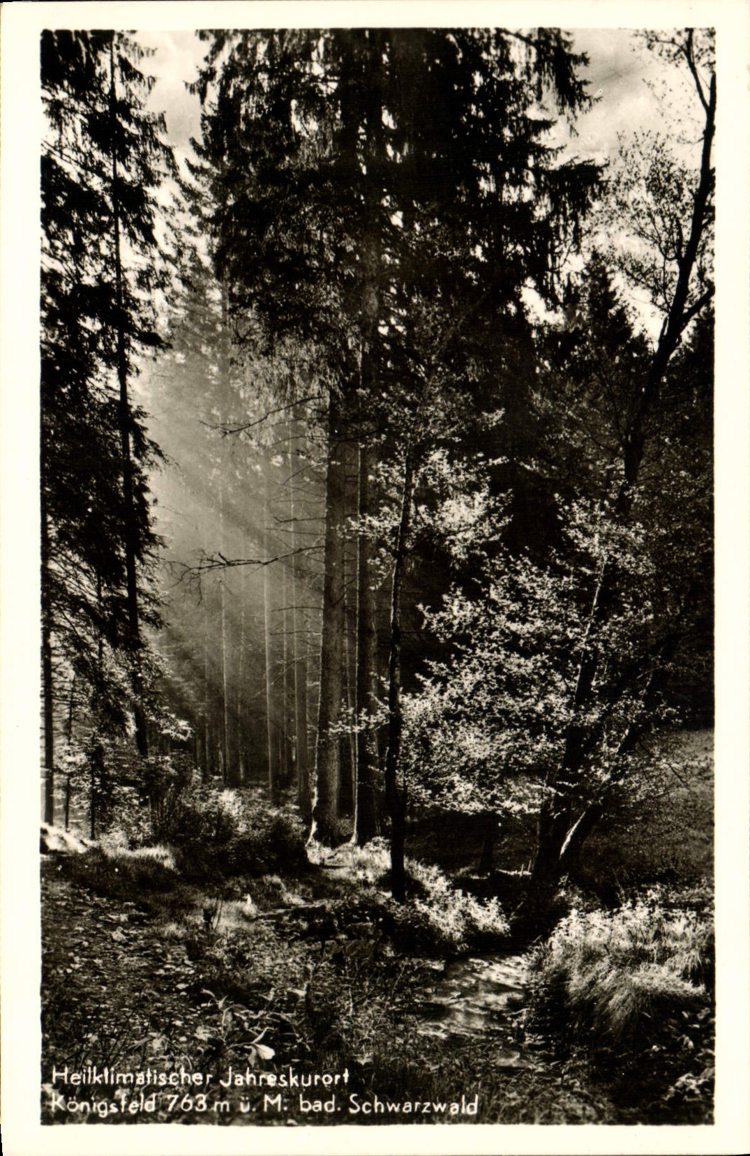 VINTAGE POSTCARD Heilklimatischer Jahreskurort Konigsfeld Mr. Bad Schwarzwald