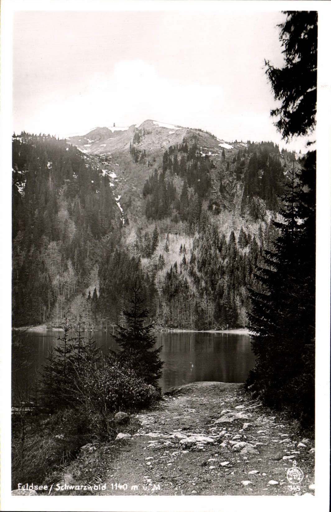 VINTAGE POSTCARD Feldsee Schwarzwald