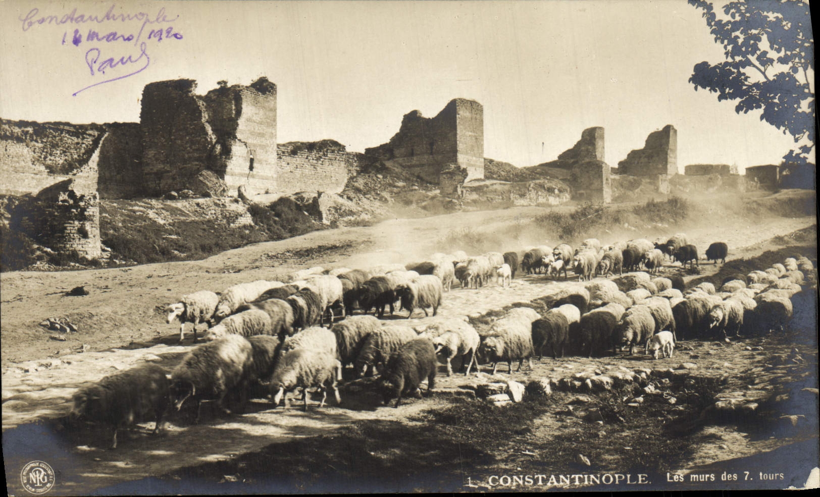 VINTAGE POSTCARD Constantinople Walls of the 7 turns Turkey Sheep