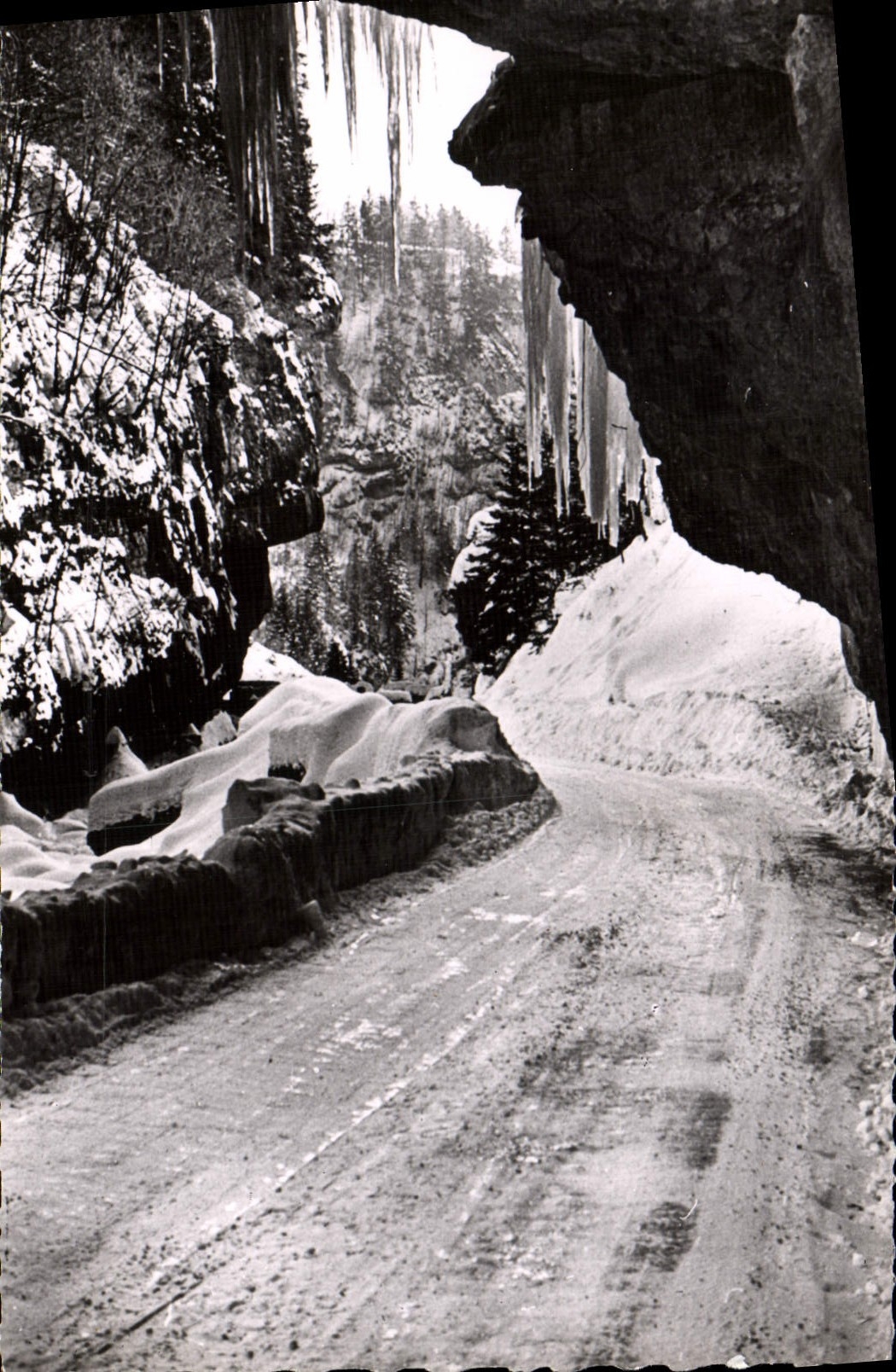 CPM De Villard de Lans a Pont en Royans Les gorges de la Bourne