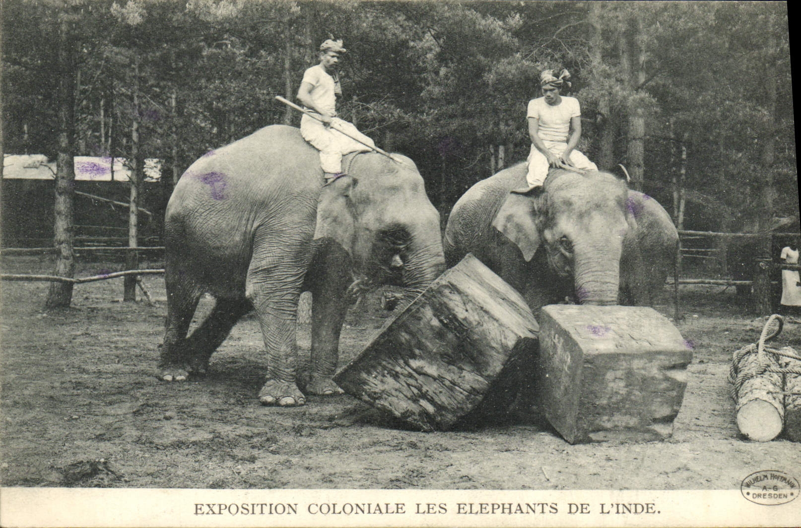 VINTAGE POSTCARD Paris Fair Colonial Elephants Of India Elephant