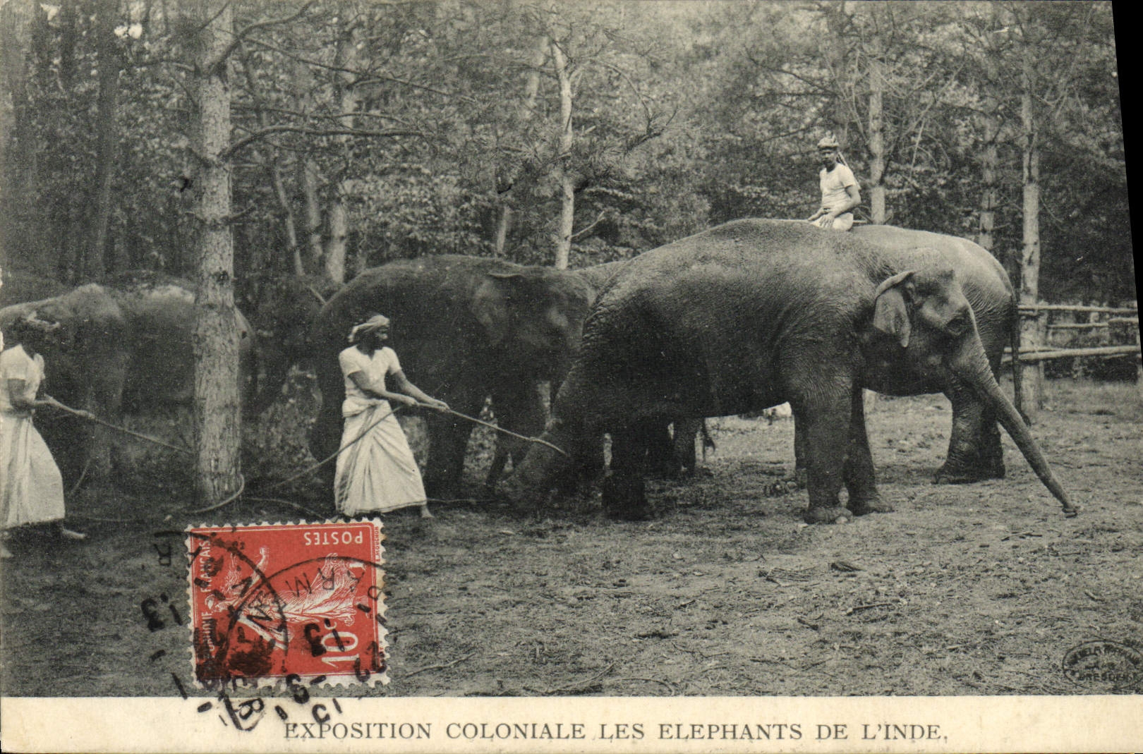 CPA Paris Exposition Coloniale Les Elephants De l'Inde