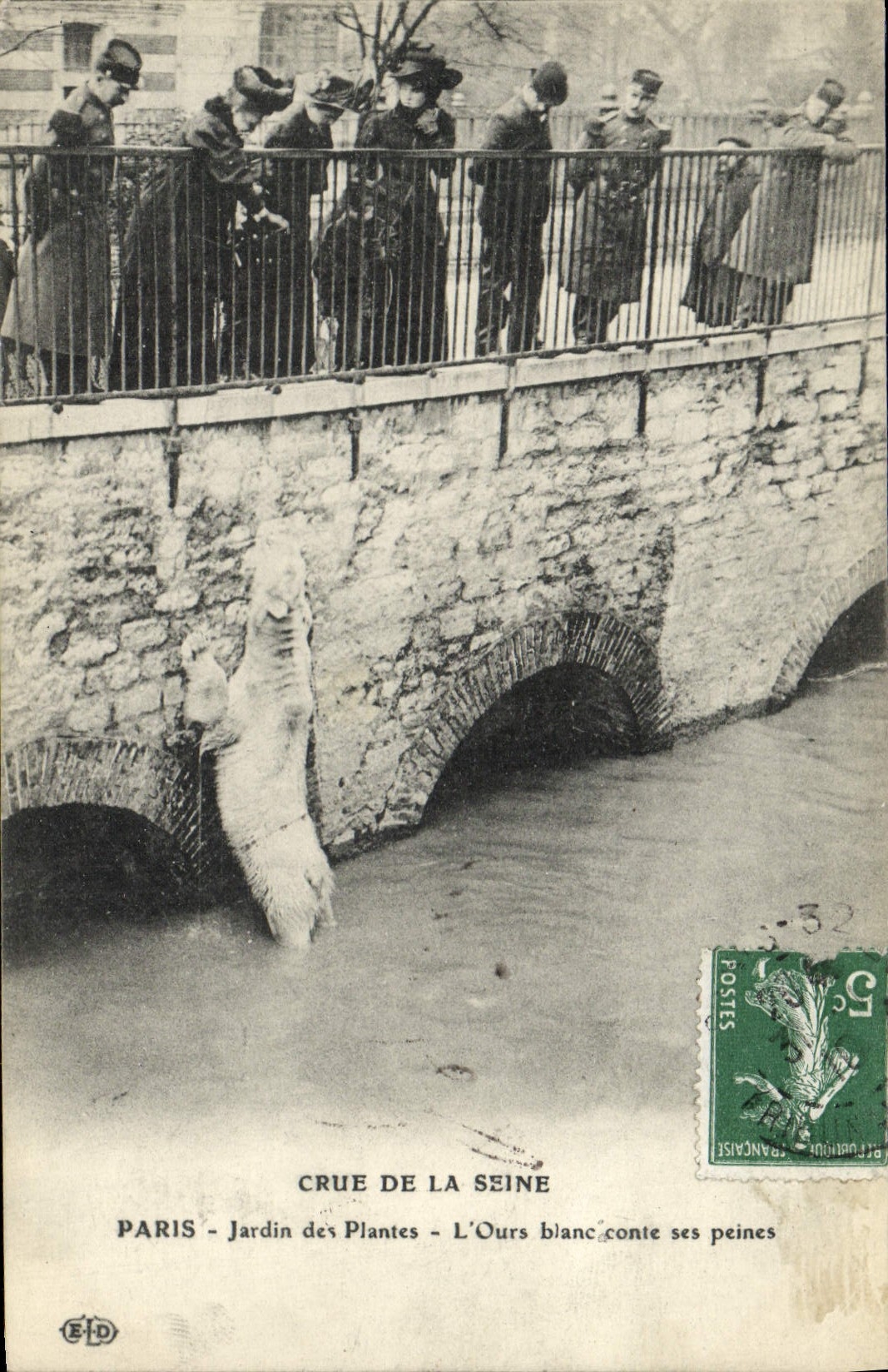 CPA Paris Jardin des Plantes Crue De La Seine L'ours blanc conte ses peines
