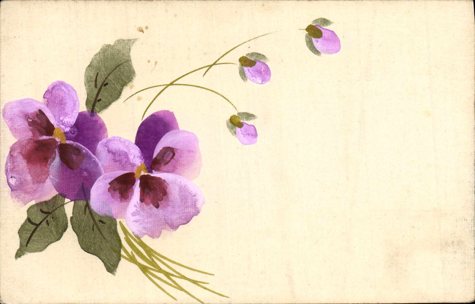 CPA Fantaisie Fleurs (dessin a la main)