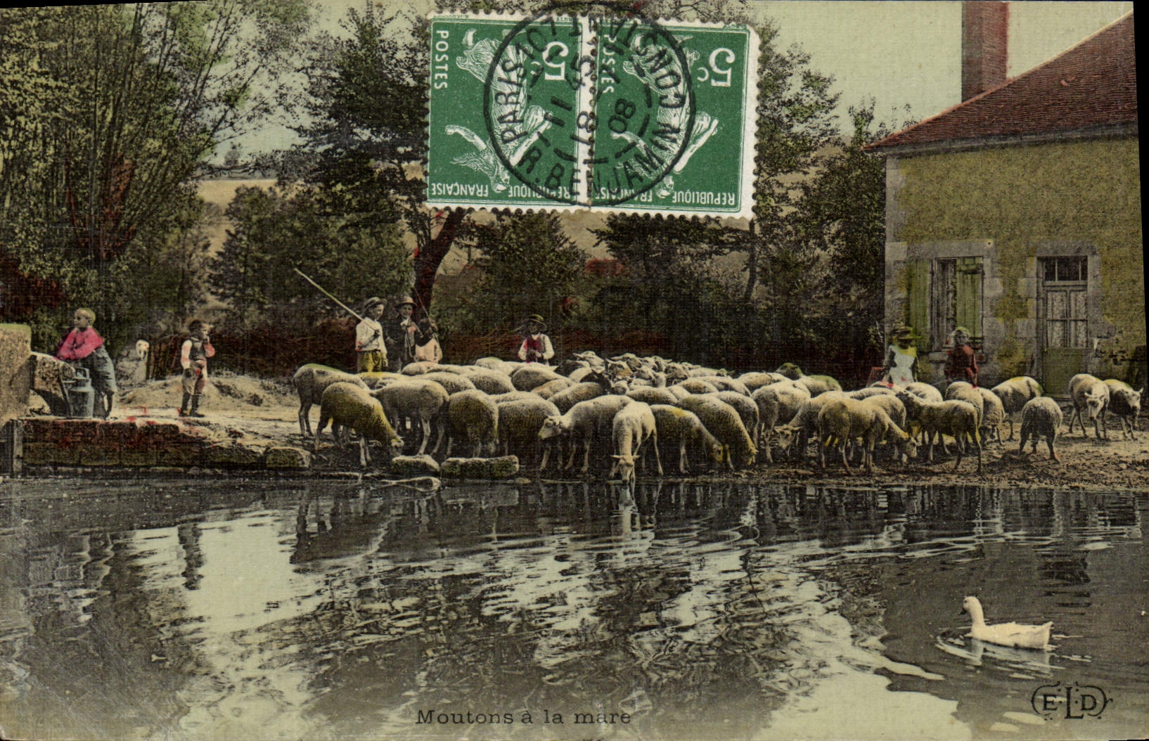 VINTAGE POSTCARD Fantasy Sheep with the pond Breeding