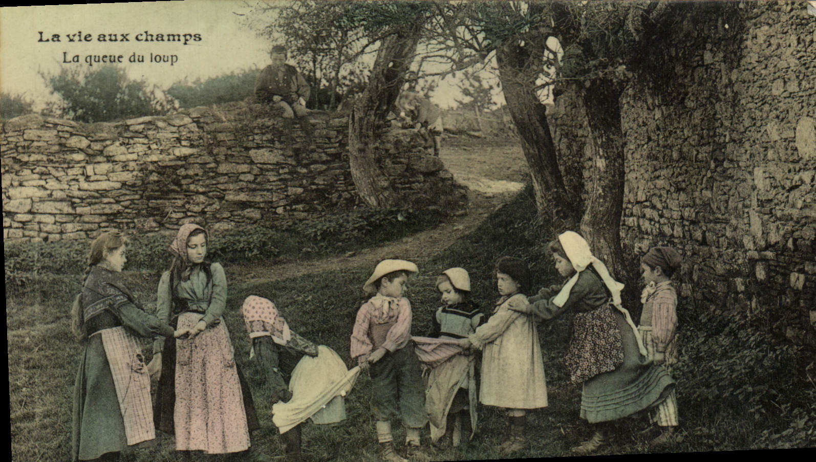 VINTAGE POSTCARD the life axu fields the tail of the Wolf Children Folklore