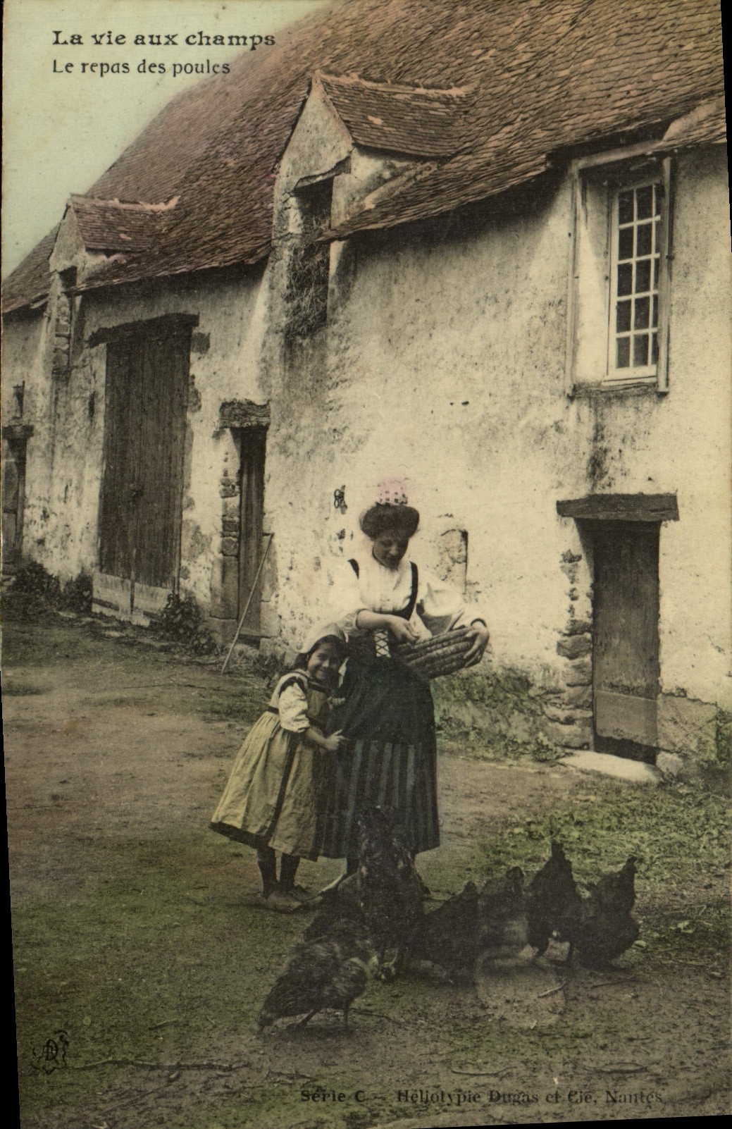 VINTAGE POSTCARD the life axu fields the meal of the hens Folklore
