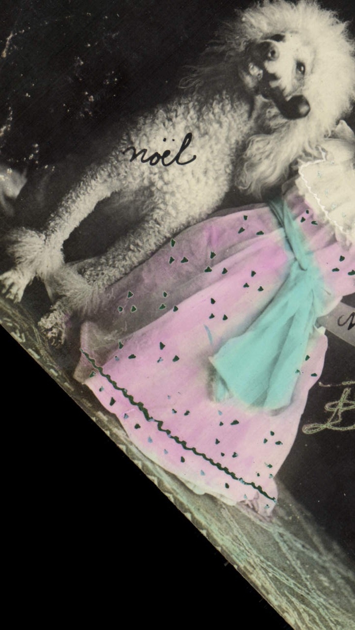 VINTAGE POSTCARD Fantasy Child Dog Poodle