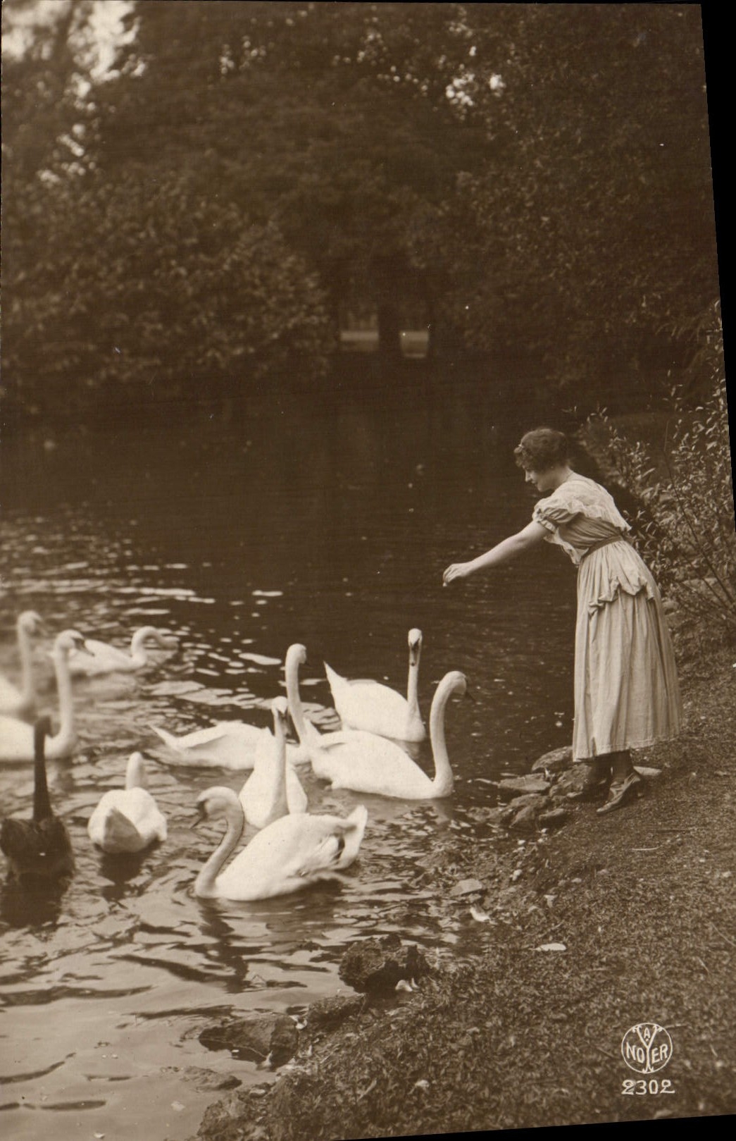 VINTAGE POSTCARD Fantasy Woman Swans