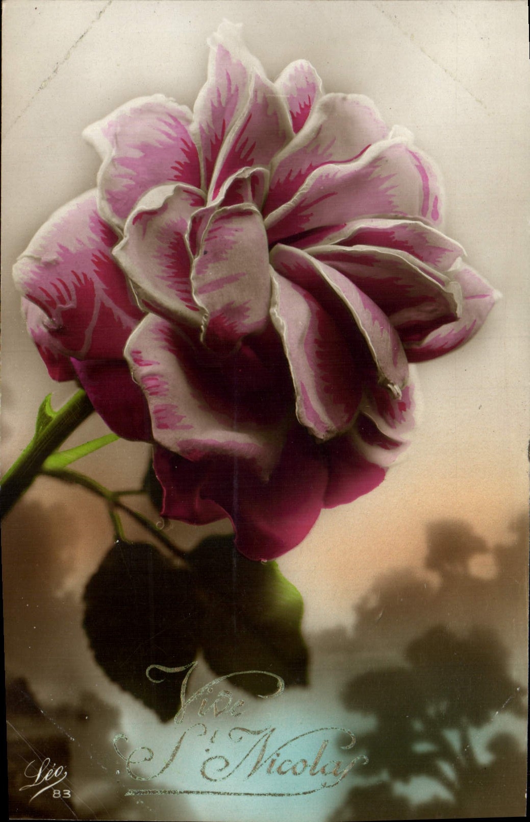 CPA Fantaisie Fleurs Rose