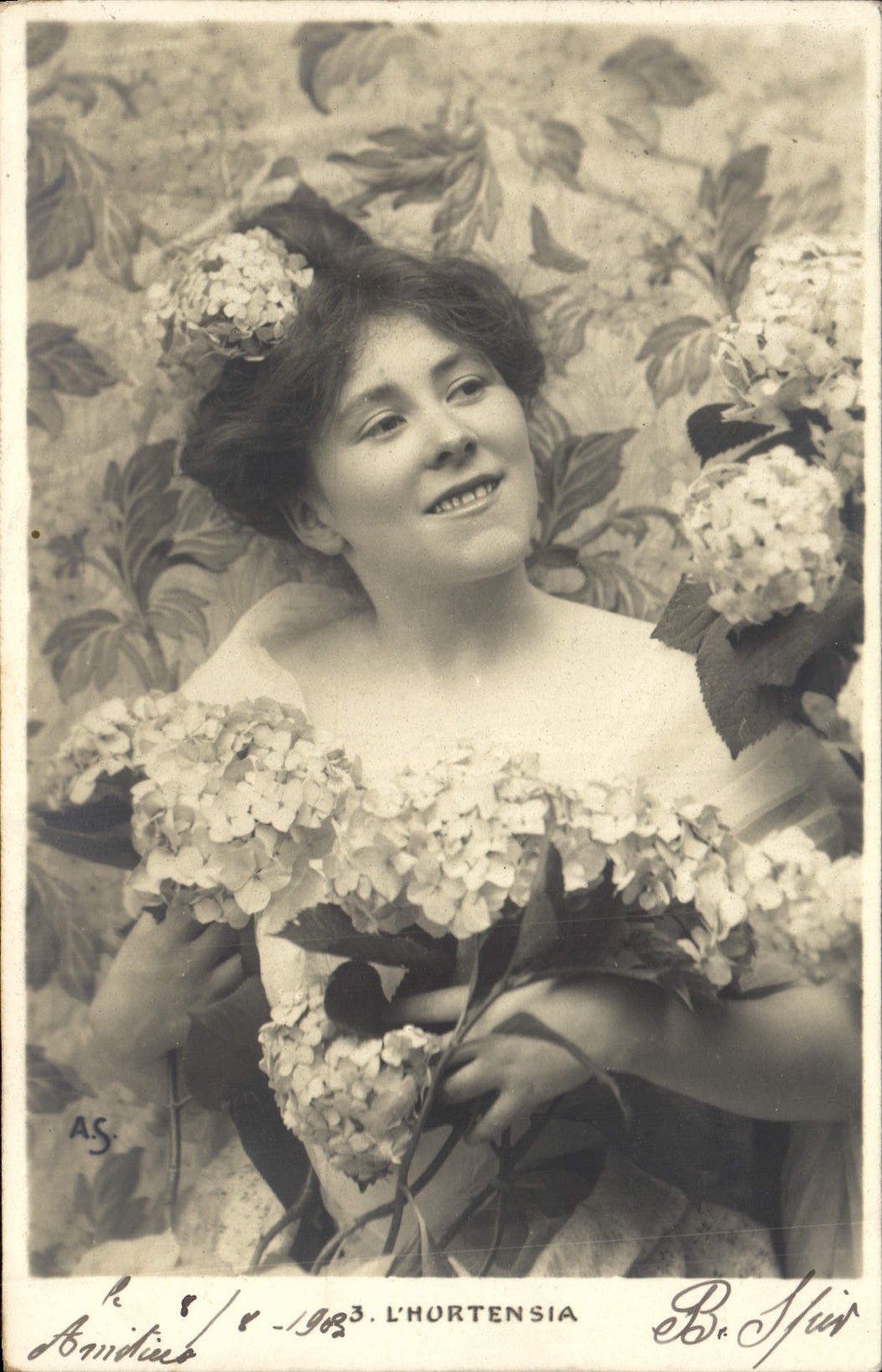 VINTAGE POSTCARD Fantasy Woman the hydrangea