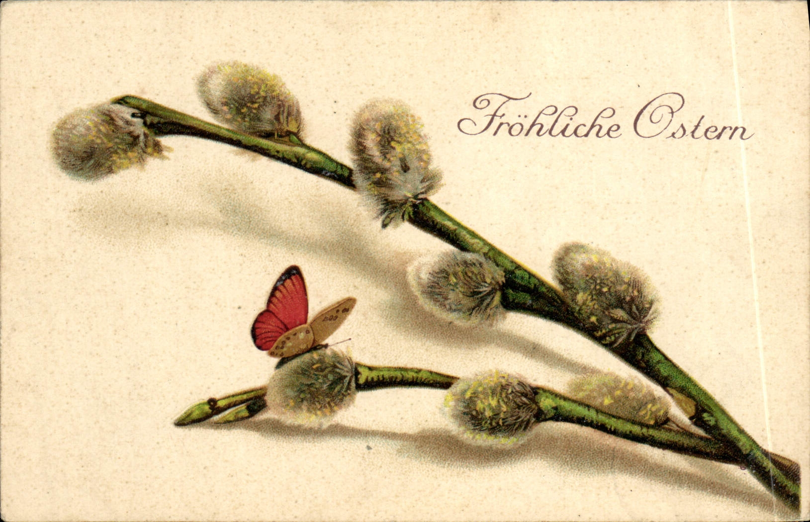 VINTAGE POSTCARD Fantasy Easter Butterfly