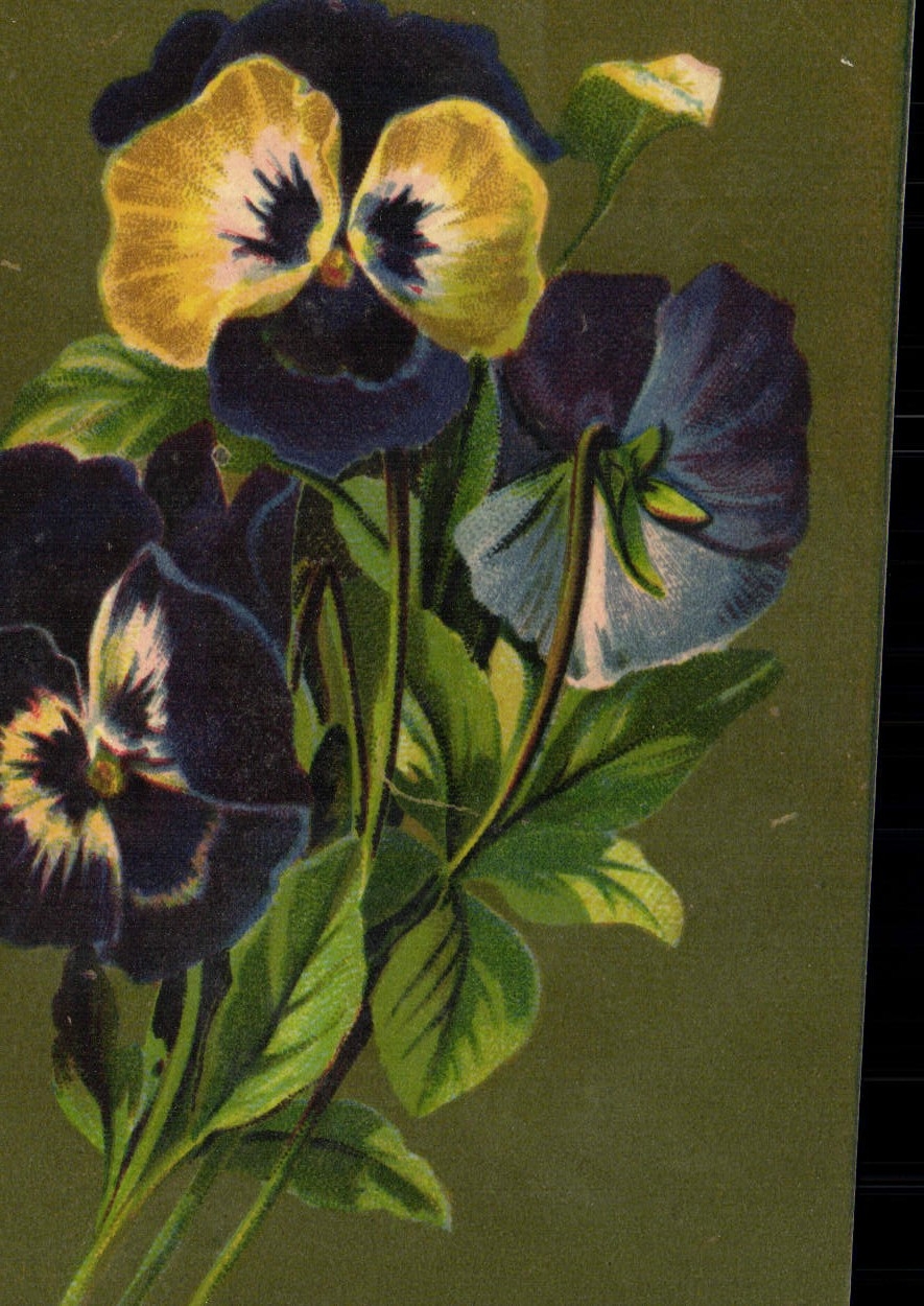 CPA Serie Velluti Fleurs 