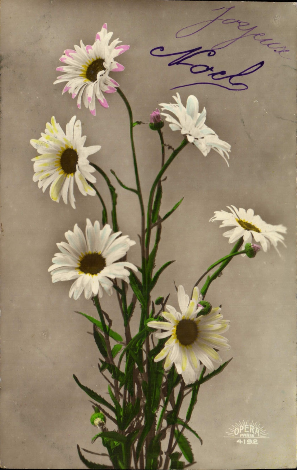 CPA Fantaisie Fleurs