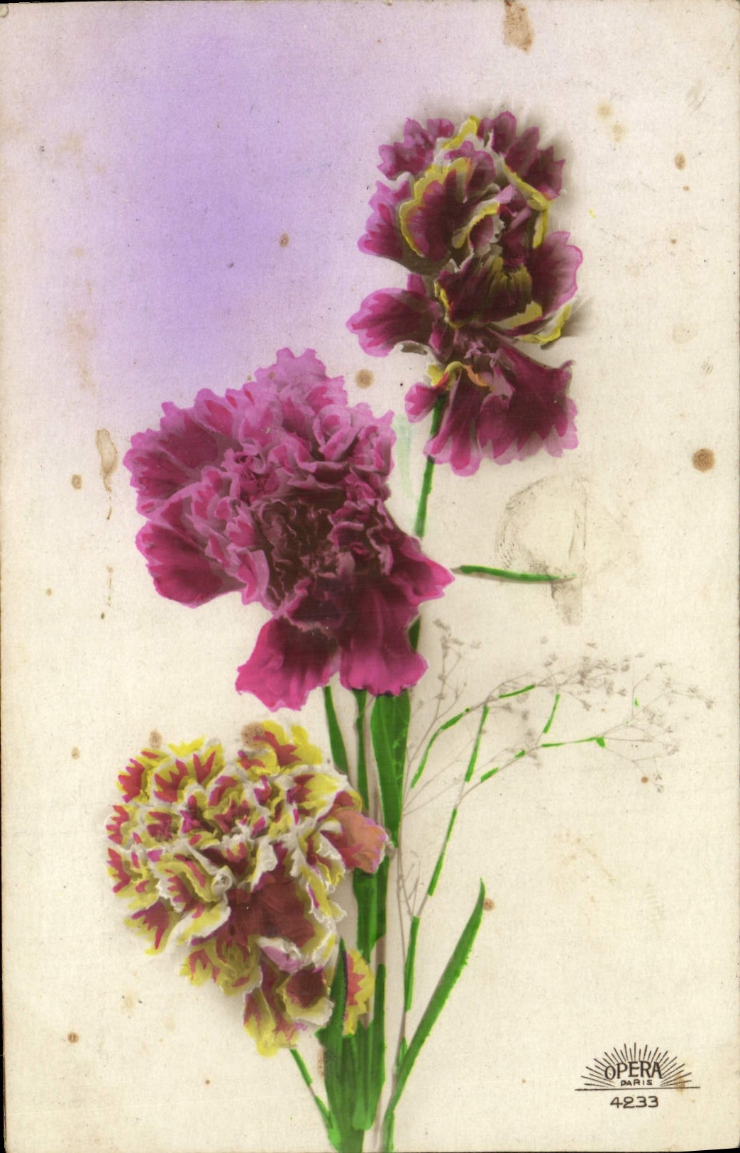 CPA Fantaisie Fleurs