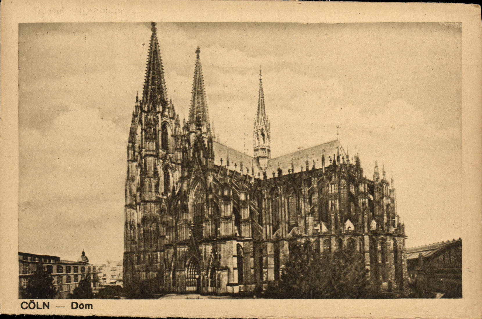 Dom de Coln de la POSTAL de la VENDIMIA