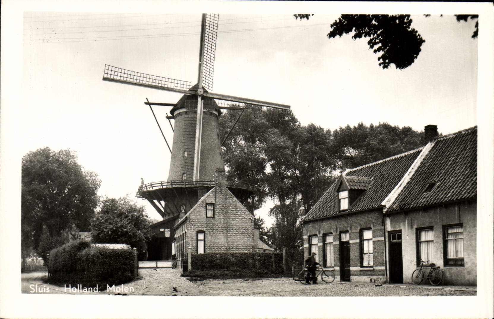 VINTAGE POSTCARD Sluis Molen Windmill