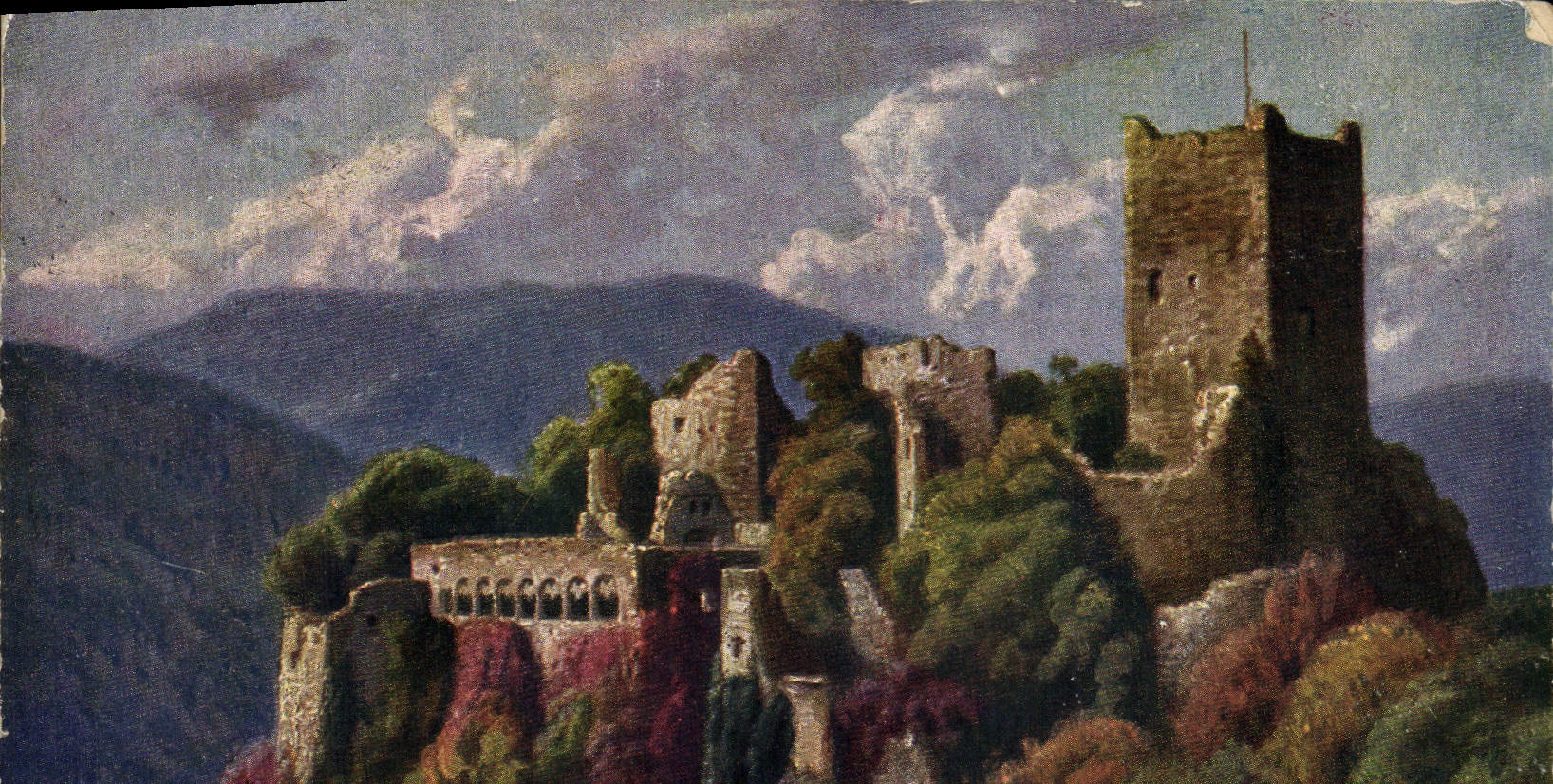 VINTAGE POSTCARD Vogensenburger