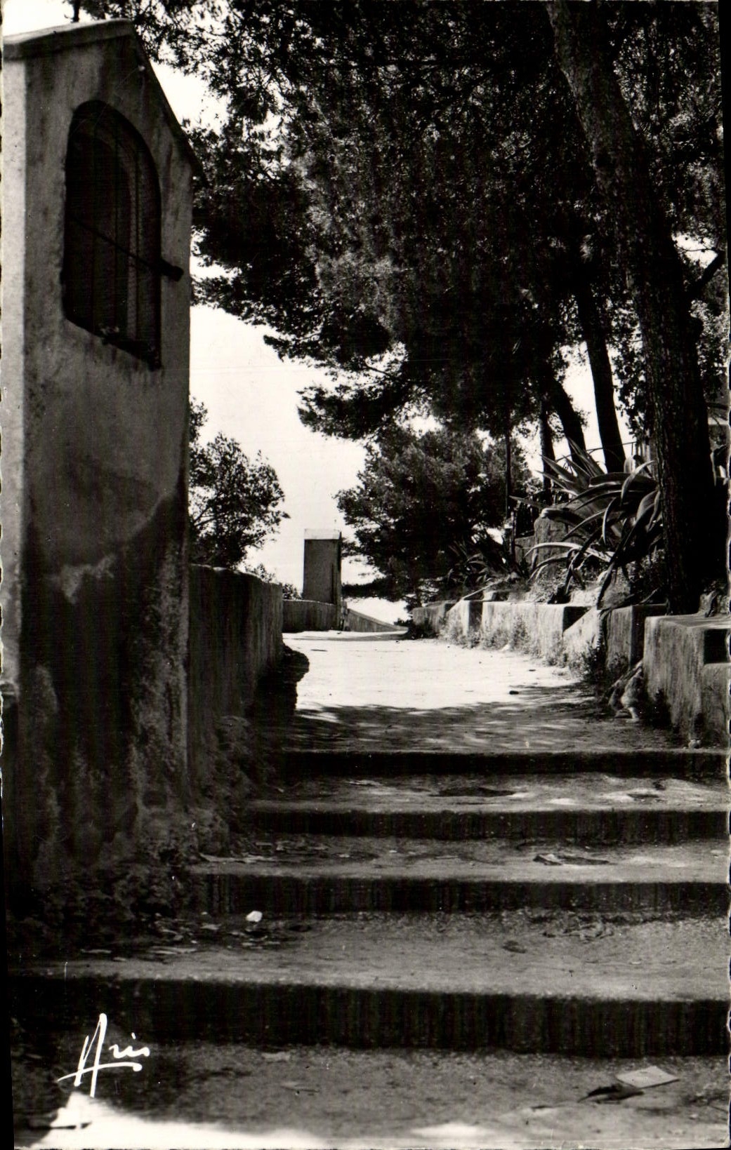 CPM Sanary sur mer Chemin de l'oratoire