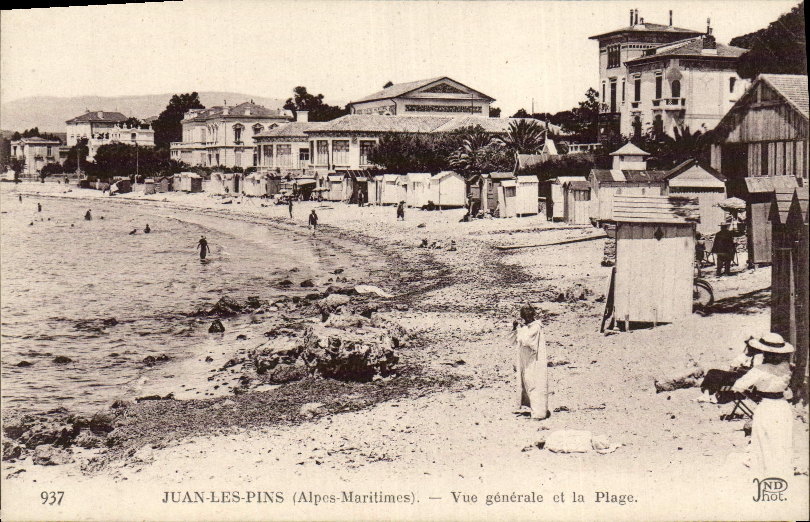 Opinión de los pinos de Juan de la POSTAL de la VENDIMIA y la playa