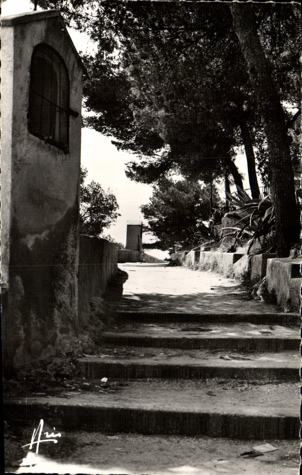 CPM Sanary sur Mer Chemin de l'oratoire