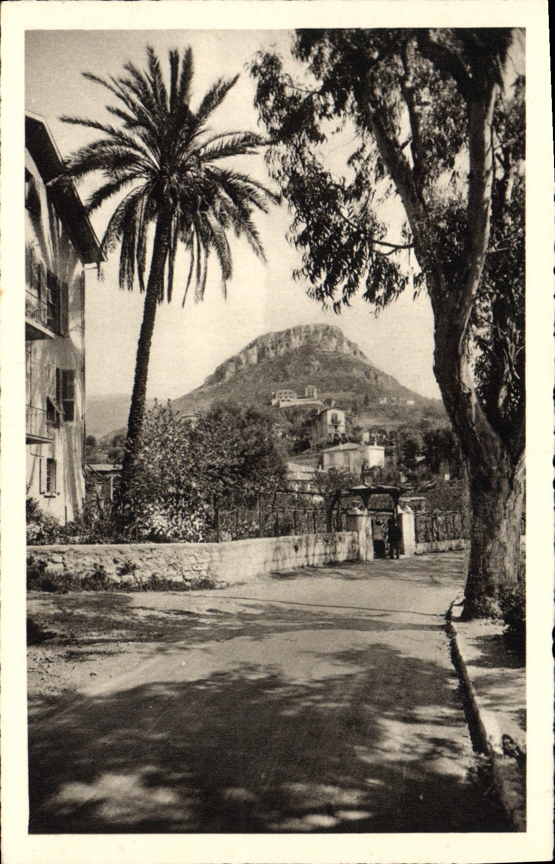 De la VENDIMIA de la POSTAL de Vence cáscaras bastante del blanco visto del camino de Tourrettes
