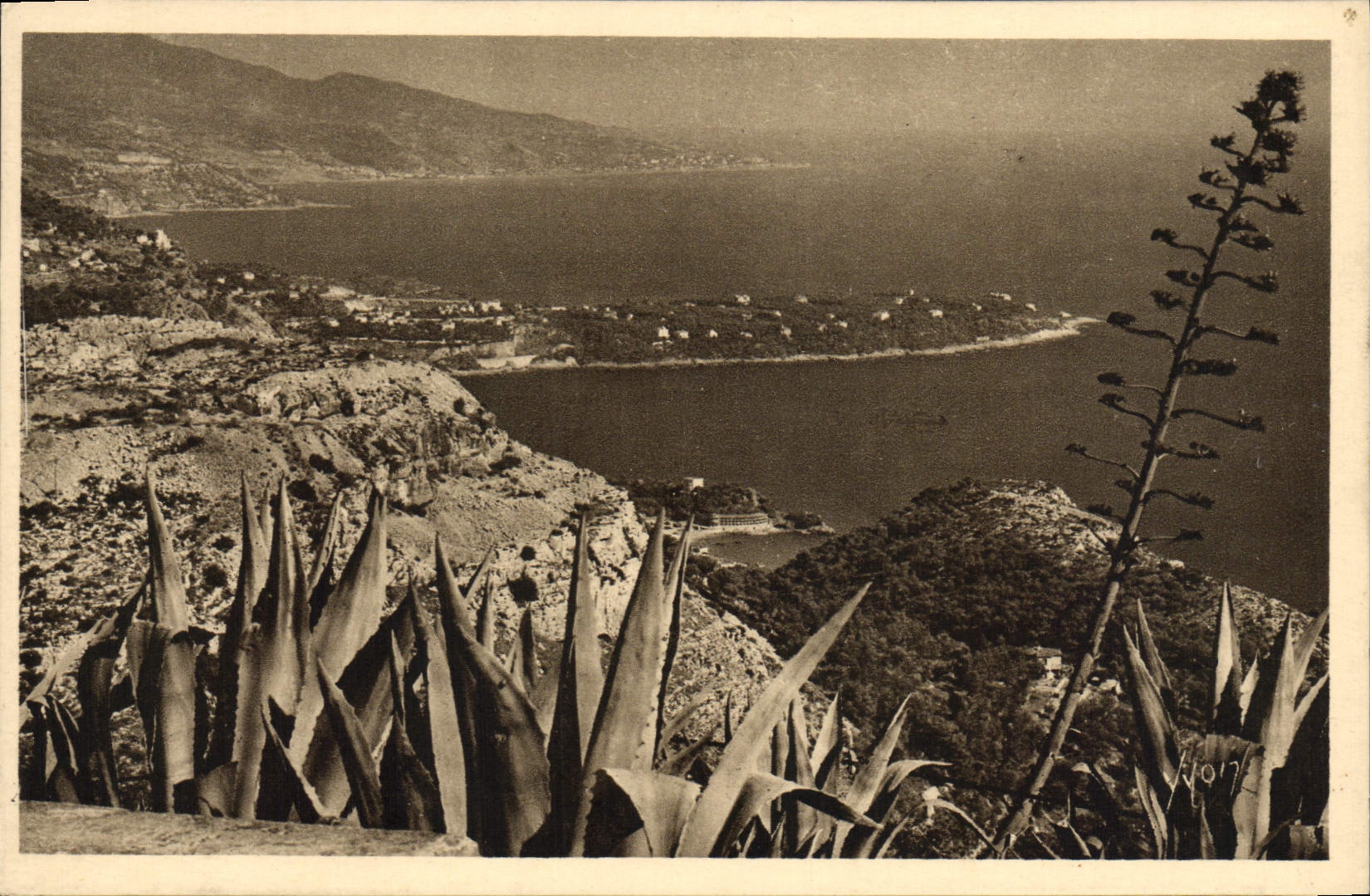 CPA Le Cap Martin vu du Rond Point de la Turbie