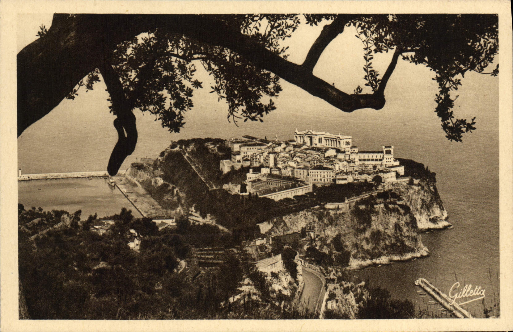 CPA Monaco Le rocher entre les arbres