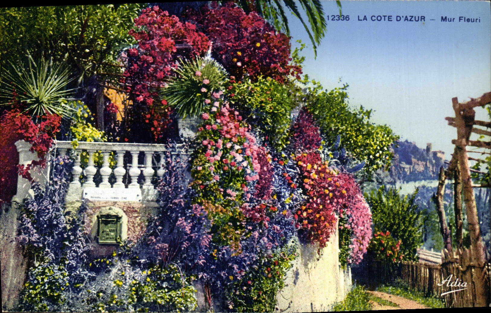 CPA Cote d'Azur Mur fleuri