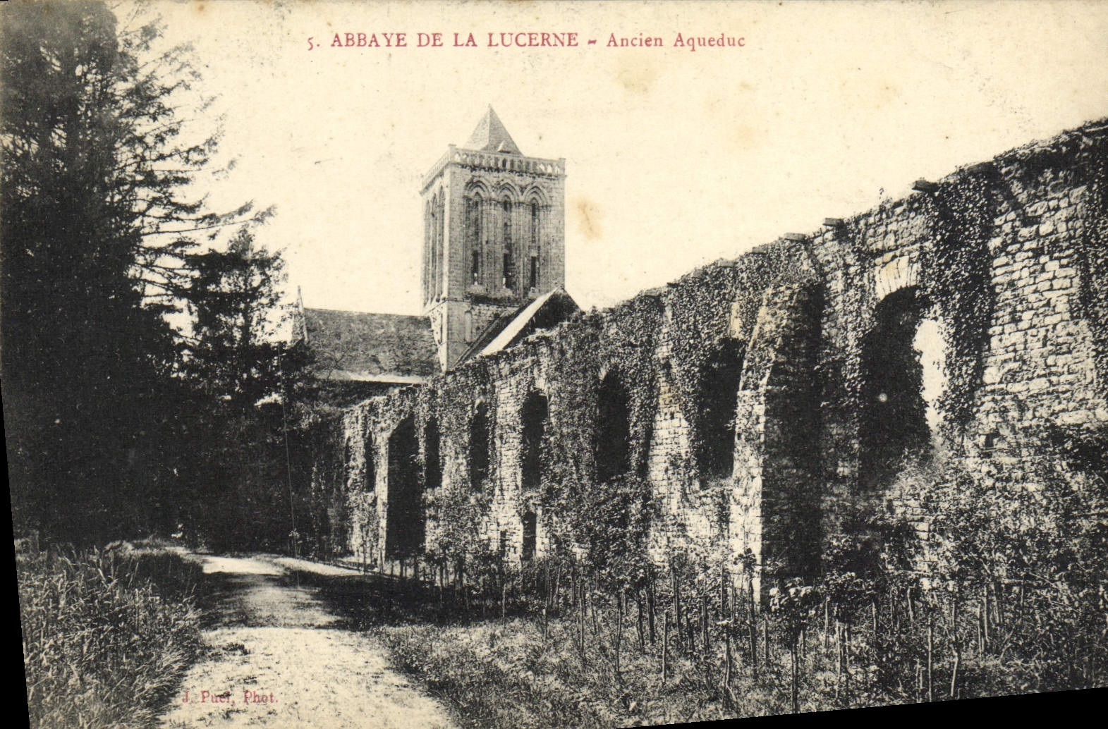 Abadía de la POSTAL de la VENDIMIA del acueducto viejo de Alfalfa