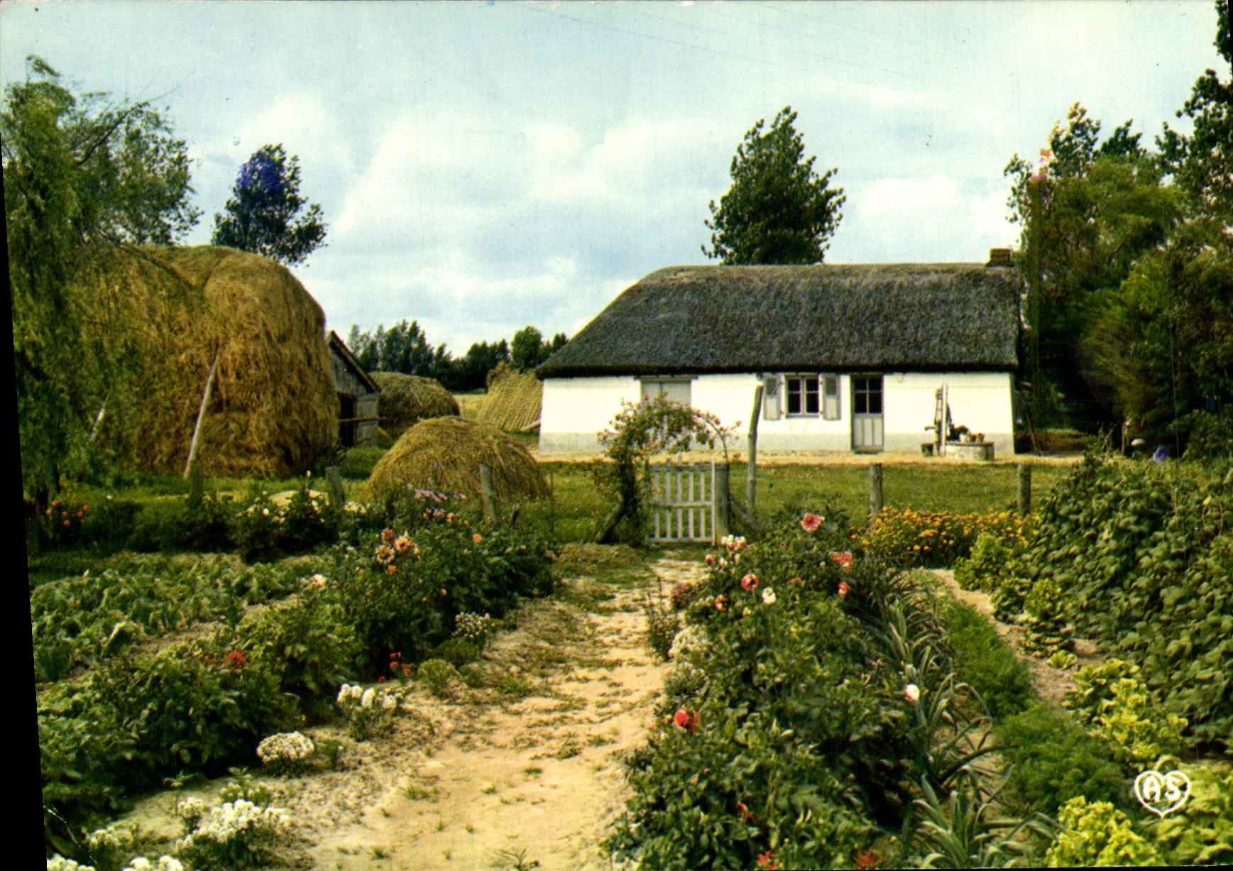 MODERN CARD With the Country Of Mounts Vendean Marsh Bourrine